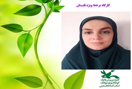نقاشی تکمیلی3، نونگاه، شیلان ناظم زاده، تابستان 1400، آذربایجان غربی